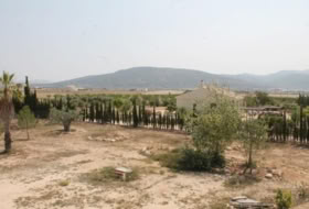 Foto 19