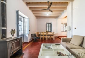 Villanueva del Río y Minas 502&nbsp;m²