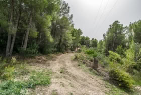 Altea 11939&nbsp;m²