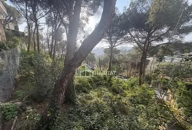 Cabrils 788&nbsp;m² 