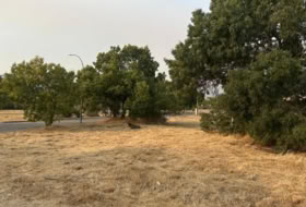 Becerril de la Sierra 922&nbsp;m² 