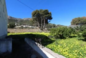 Foto 7
