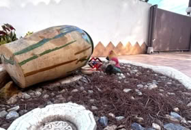 Foto 9