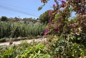 Foto 11