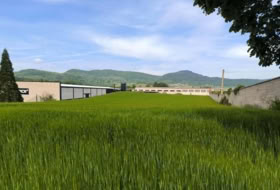 Foto 1