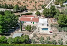 Foto 2
