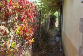 Foto 15