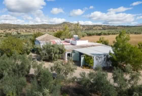 Archidona 1198&nbsp;m² 
