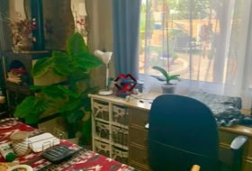 Foto 11