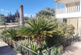 Foto 9