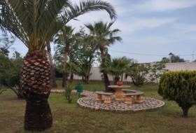 Puente Genil 520&nbsp;m²