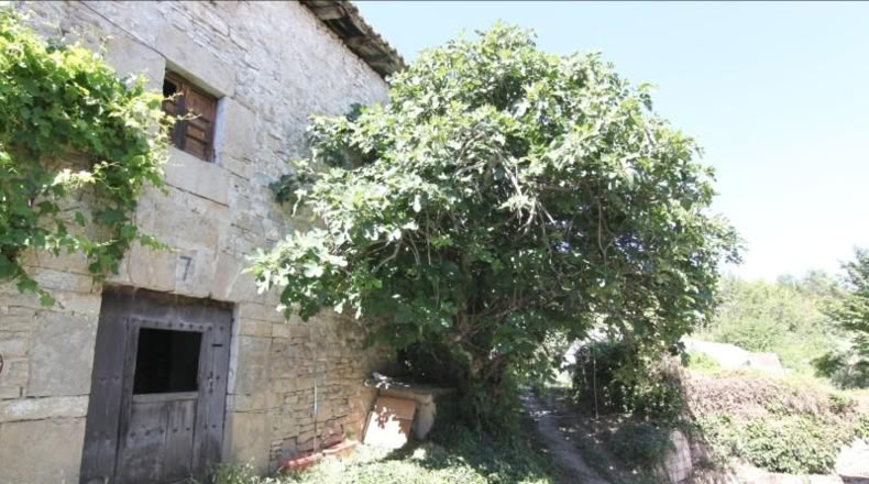 Navarra - Ansoáin - 288 m²