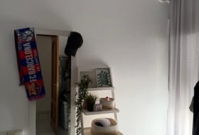 Córdoba 306&nbsp;m²