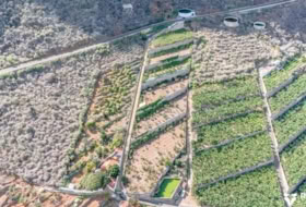 Buenavista del Norte 29520&nbsp;m²