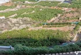 Buenavista del Norte 29520&nbsp;m²