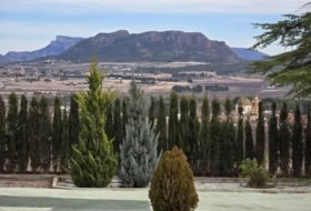 Salinas 6019&nbsp;m²