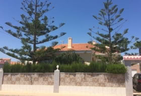Torrevieja 800&nbsp;m²