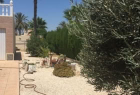 Torrevieja 800&nbsp;m²