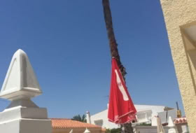 Torrevieja 800&nbsp;m²