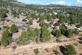 Foto 15