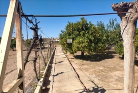 Foto 19