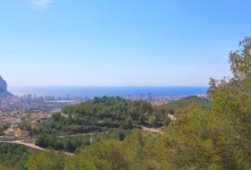 Foto 11