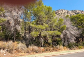 Altea 1758&nbsp;m²