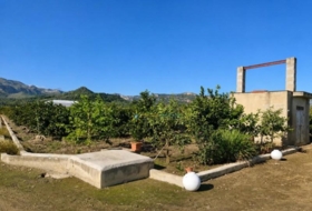 Foto 13