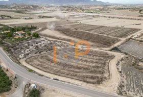 Armuña de Almanzora 6500&nbsp;м²