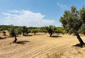 Calaceite 22661&nbsp;m²