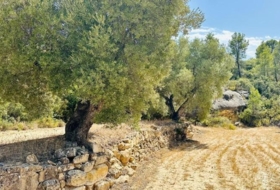 Calaceite 22661&nbsp;m²