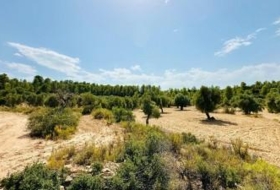 Calaceite 22661&nbsp;m²