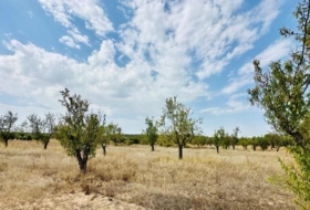 Calaceite 22661&nbsp;m²