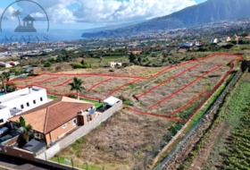 La Orotava 500&nbsp;m²