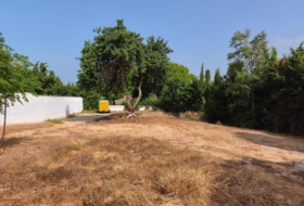 El Puerto de Santa María 810&nbsp;m²