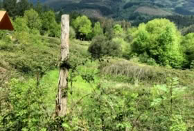 Oquendo 11000&nbsp;m²