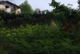 Oquendo 11000&nbsp;m²
