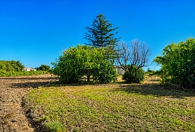 Chiclana de la Frontera 17019&nbsp;m²