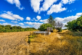 Chiclana de la Frontera 17019&nbsp;m²