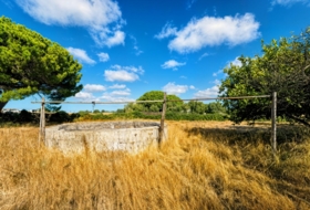 Chiclana de la Frontera 17019&nbsp;m²