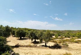 Calaceite 22661&nbsp;m²
