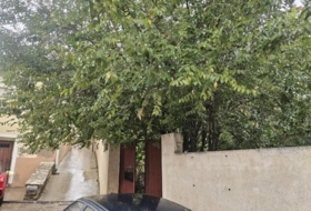 Cogolludo 315&nbsp;m²