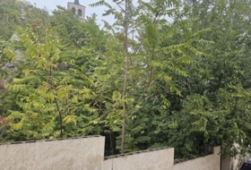 Cogolludo 315&nbsp;m²