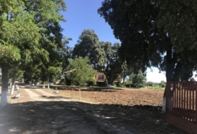 Brihuega 62976&nbsp;m²