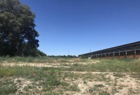 Brihuega 62976&nbsp;m²