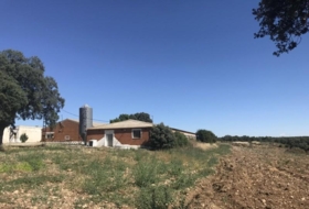 Brihuega 62976&nbsp;m²