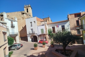 Foto 19