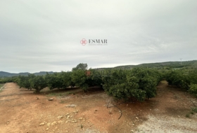 Segorbe 4818&nbsp;m²
