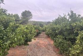 Segorbe 4818&nbsp;m²
