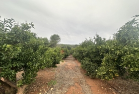 Segorbe 4818&nbsp;m²